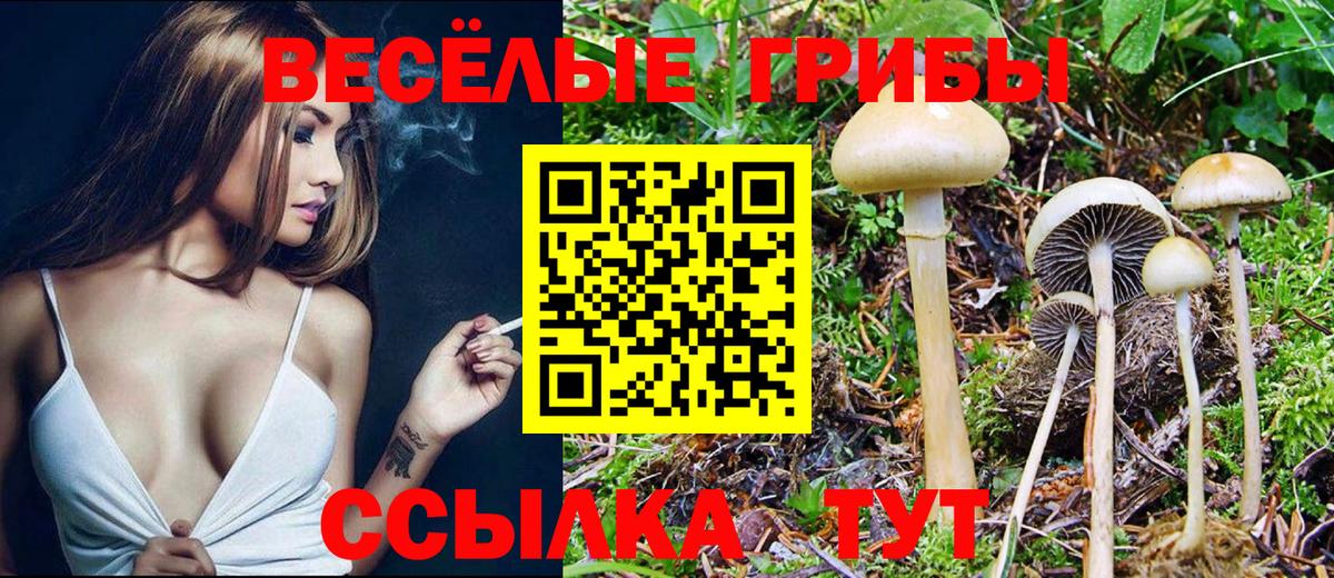 Новороссийск  Гашиш  Кокаин  Экстази  Вход с VPN  NBOMe  Мефедрон кристаллы  Марихуана 