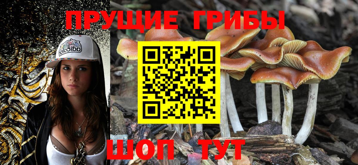 Галлюциногенные грибы Magic Shrooms Новороссийск
