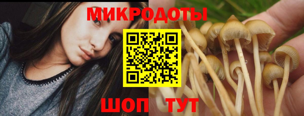 Новороссийск  Псилоцибиновые грибы ЛСД  цены наркотик  Вход с VPN  Галлюциногенные грибы Psilocybine cubensis 